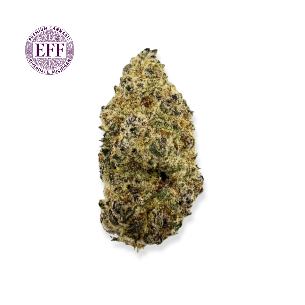 EFF! - Gelato 41 Bulk Flower - EFF! (FIRE ISLAND) Main Image