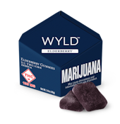 WYLD - ELDERBERRY 100MG 2:1 INDICA GUMMIES
