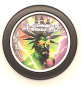 ELECTRIC DAYDREAM 6pk SEEDS
