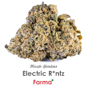 Hecate Gardens Electric R*ntz