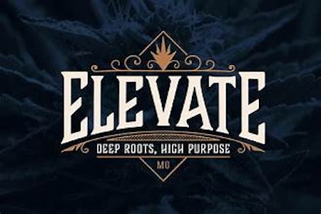 ELEVATE - ELEVATE - PINEAPPLE PLANET 1 GRAM PRE-ROLL