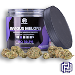 Envious Melons Flower | Oz Special