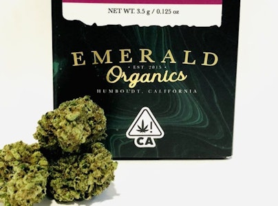 EMERALD CITY ORGANICS - Emerald Organics- Govt. Oasis Flower 3.5g