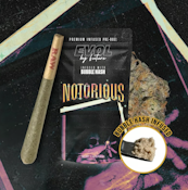 EVOL - Notorious #1 - 1.5g