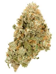 TRIP - TRIP - EX WIFE HALF OUNCE Main Image