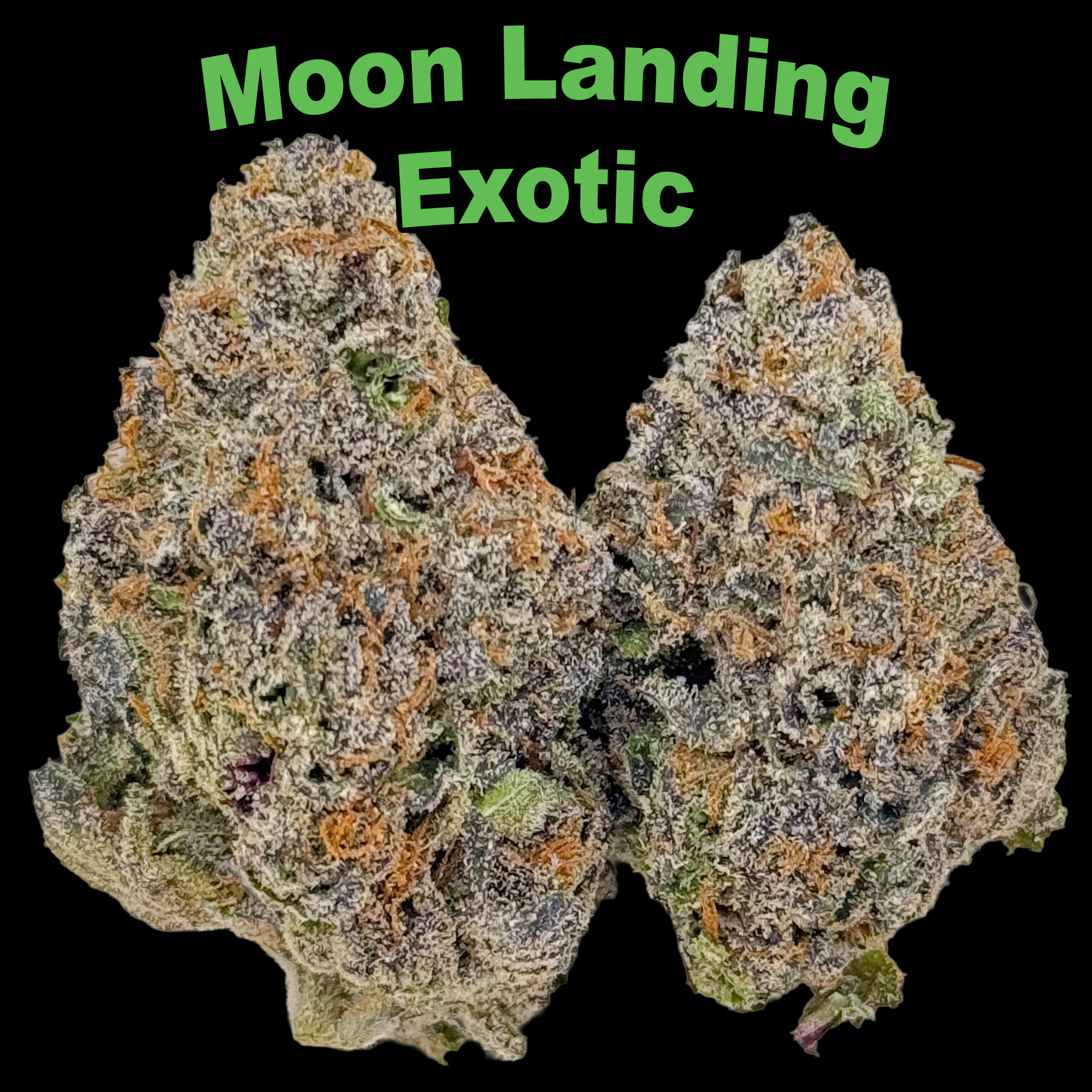 DC Space Club - Moon Landing - Ounce Main Image