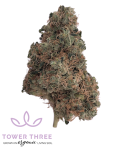 Tower Three - East Coast Irene - 3.5g - Tower Three