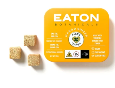 Eaton Botanicals - Mango Ginger 'Fixer Upper' Gummies 20pk Main Image