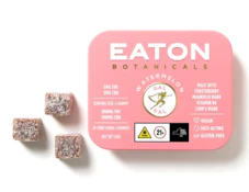 Watermelon 'Gal Pal' Gummies 20pk