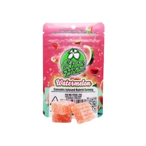 EIGHTH BROTHER - SINGLE - WATERMELON 100MG - EIGHTH BROTHER
