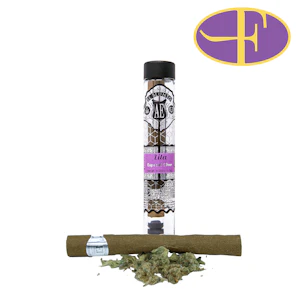 ALBERT EINSTONE'S - Lila Silver El Blunto