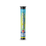 Electric Oasis 1g Infused Preroll - BLAZRZ