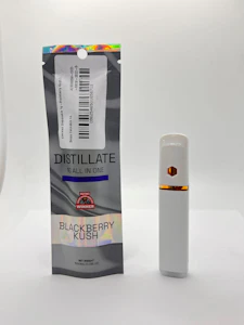 ELEVATED - Elevated Disposable 1g-Blackberry Kush(I)
