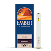 Blueberry Disposable - 1 gram