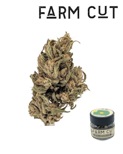 FARM CUT - Emerald CBG