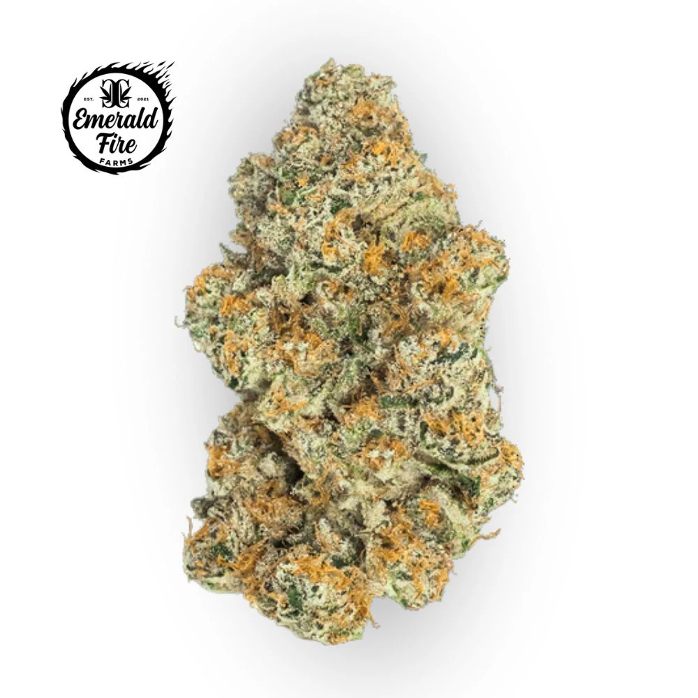 EMERALD FIRE (OK) - Durban Poison Bulk Flower - EMERALD FIRE Main Image