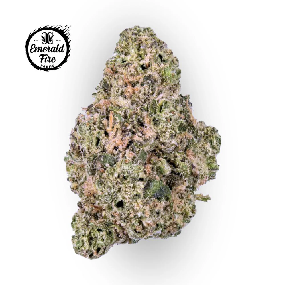 EMERALD FIRE (OK) - Notorious THC Bulk Flower - EMERALD FIRE Main Image