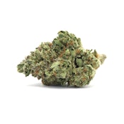 Duffy$ | Why U Gelly? | Smalls | 14g