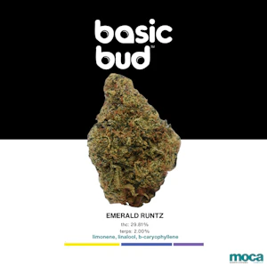 Basic Bud - Basic Bud - 1/4 Bag - Emerald Runtz