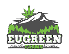 Eugreen | Wedding Burger
