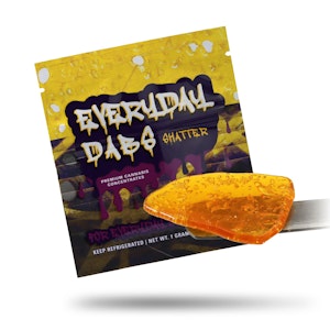 Everyday - Everyday - 1g Shatter - Berry Pie