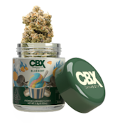 CANNABIOTIX: Bluebert 3.5g (I)
