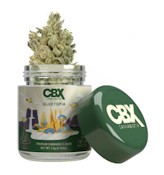 CANNABIOTIX: Gluetopia 3.5g (H)