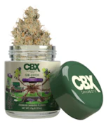 CANNABIOTIX: GM-UHOH 3.5g - Indoor Flower (I/H)