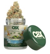 CANNABIOTIX: Tropicanna 3.5g (S)