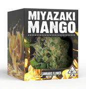 DECIBEL GARDENS: Miyazaki Mango 3.5g (H)