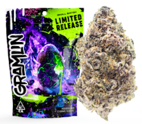 GRAMLIN: Runtz 3.5g - Indoor Flower (H)