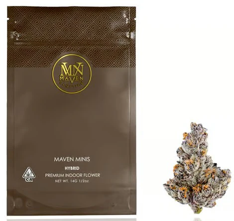 Maven Genetics - MAVEN GENETICS: SFV OG 14g - Indoor Smalls (H) Main Image