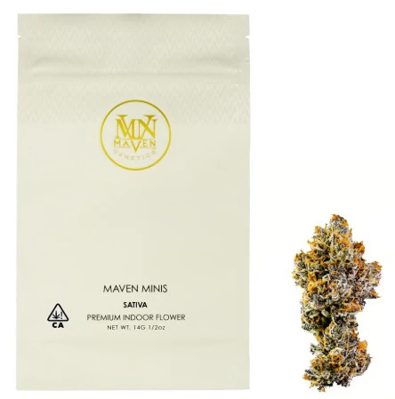 Maven Genetics - MAVEN GENETICS: Chrome Dome 14g - Indoor Smalls (S) Main Image