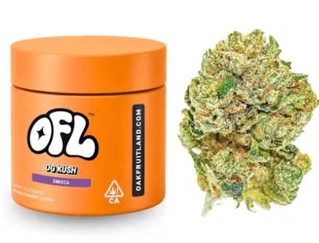 Oakfruitland (OFL) - OAKFRUITLAND: OG Kush 7g - Indoor Flower Jar (I) Main Image