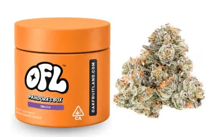Oakfruitland (OFL) - OAKFRUITLAND: Pandora's Box 7g - Indoor Flower Jar (I) Main Image