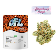 OAKFRUITLAND: Strawberry Cough 7g - Indoor Flower (S)