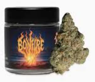 Seed Junky Genetics Michigan - SEED JUNKY: Bonfire 3.5g - Indoor Flower (H) Main Image