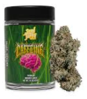 Seed Junky Genetics Michigan - SEED JUNKY: Caffeine 7g - Indoor Flower (S) Main Image