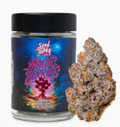 SEED JUNKY: Magic Berries 7g - Indoor Flower (I)