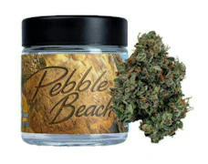 SEED JUNKY: Pebble Beach 3.5g - Indoor Flower (S)