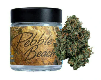 Seed Junky Genetics Michigan - SEED JUNKY: Pebble Beach 3.5g - Indoor Flower (S) Main Image