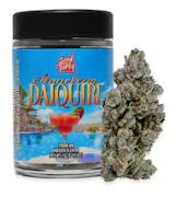 SEED JUNKY:  Strawberry Daiquiri 7g - Indoor Flower (H)