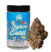 SEED JUNKY:  Tropical Burst 7g - Indoor Flower (S)