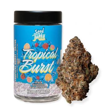 Seed Junky Genetics Michigan - SEED JUNKY: Tropical Burst 7g - Indoor Flower (S) Main Image
