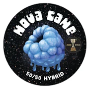 TEAM ELITE GENETICS: Nova Cane 3.5g (H)