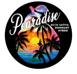 Team Elite Genetics - TEAM ELITE GENETICS: Pearadise 3.5g (S/H) Main Image