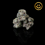 Alchemy Stone | Lizard Burger | indoor flower