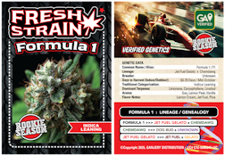 FRESH STRAIN | FORMULA 1 | FLOWER | 3.5G