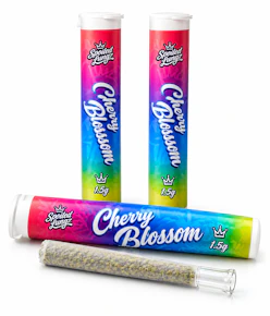 Spoiled Lungz | Cherry Blossom | Pre-Roll | 1.5g | Hybrid