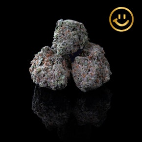 Grown Rogue | Jack Herer | indoor flower